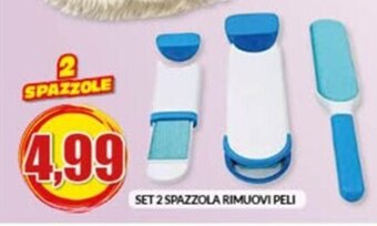 SET 2 SPAZZOLA RIMUOVI PELI