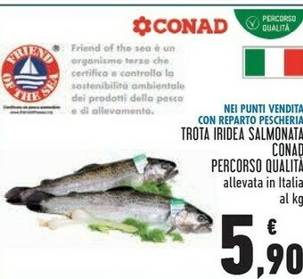 Conad Superstore Conad Trota Iridea Salmonata offerta