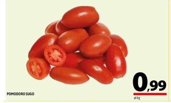 A&O POMODORO SUGO offerta