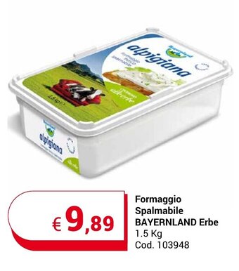 Centro Cash Formaggio Spalmabile BAYERNLAND Erbe 1.5 Kg offerta