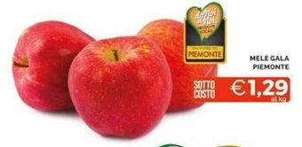 Mercatò MELE GALA PIEMONTE offerta
