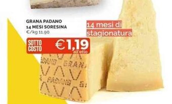 Mercatò GRANA PADANO 14 MESI SORESINA offerta