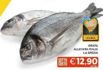 Mercatò ORATA ALLEVATA ITALIA LA SPEZIA offerta