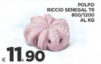Deco Supermercati POLPO RICCIO SENEGAL T6 800/1200 offerta