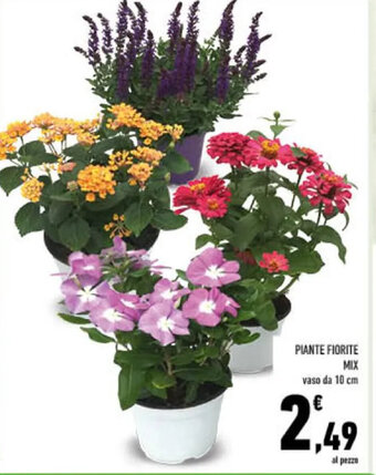 Conad PIANTE FIORITE Mix offerta