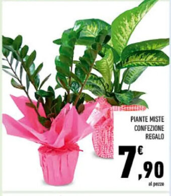 Conad PIANTE MISTE CONFEZIONE REGALO offerta