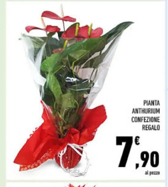 Conad PIANTA ANTHURIUM CONFEZIONE REGALO offerta