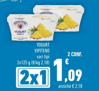 Conad YOGURT VIPITENO 2 x 125 g offerta