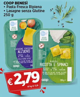 Coop COOP BENESÌ Pasta Fresca Ripiena Lasagne senza Glutine 250 g offerta