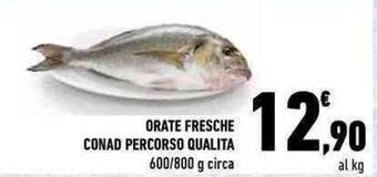 Conad ORATE FRESCHE CONAD PERCORSO QUALITA 600/800 g circa offerta