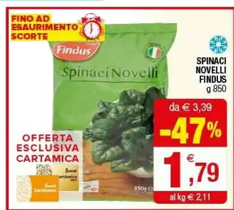 Iperal Findus Spinaci Novelli 850 G offerta