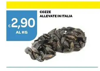 Cozze Allevate In Italia
