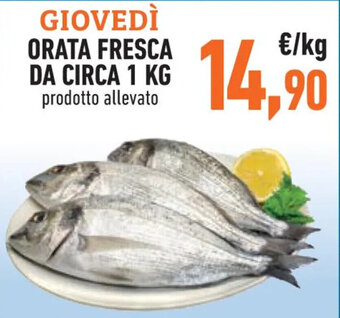 Conad GIOVEDÌ ORATA FRESCA DA CIRCA 1 KG offerta