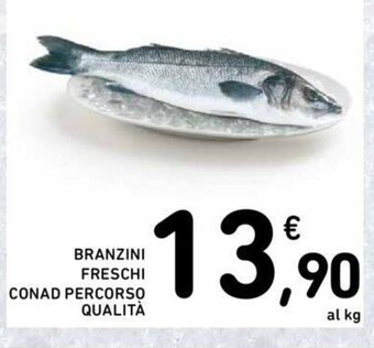 Conad BRANZINI FRESCHI CONAD PERCORSO QUALITÀ offerta