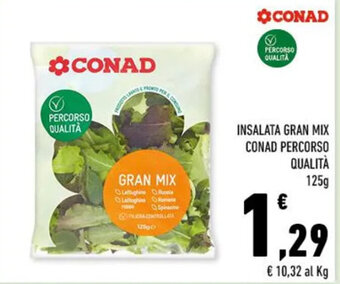 Conad INSALATA GRAN MIX CONAD PERCORSO QUALITÀ 125 g offerta