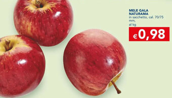 Esselunga MELE GALA NATURAMA offerta