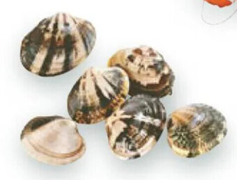 Esselunga VONGOLE VERACI 500 g offerta