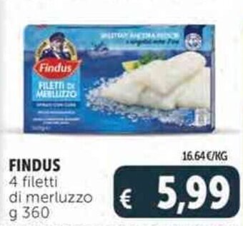 Deco Supermercati FINDUS 4 filetti di merluzzo g 360 offerta