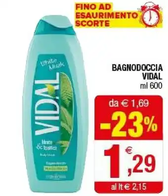Iperal Vidal Bagnodoccia White Musk 600 Ml offerta