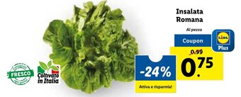 Lidl Insalata Romana offerta