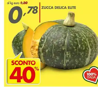 Zucca Delica Elite
