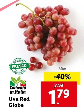 Lidl Uva Red Globe offerta
