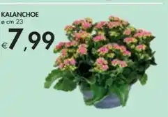 Comet Smeg piano cottura srv564gh3 offerta