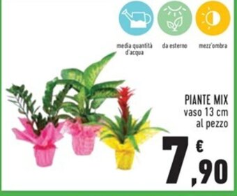 Conad PIANTE MIX offerta