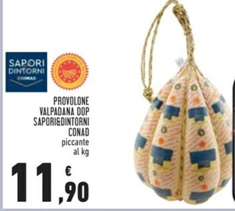 Conad PROVOLONE VALPADANA DOP SAPORI&DINTORNI CONAD offerta