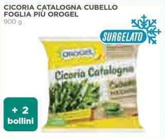 Coop CICORIA CATALOGNA CUBELLO FOGLIA PIÙ OROGEL 900 g offerta