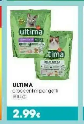 Ultima Cibo per gatti