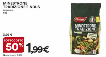 Ipercoop MINESTRONE TRADIZIONE Findus 1 kg offerta