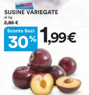 Ipercoop SUSINE VARIEGATE offerta