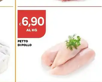 Ekom Petto Di Pollo offerta