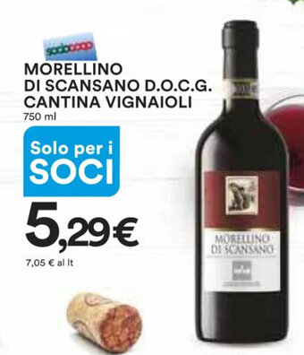 MORELLINO DI SCANSANO D.O.C.G. CANTINA VIGNAIOLI 750 ml