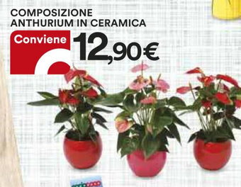 Ipercoop COMPOSIZIONE ANTHURIUM IN CERAMICA offerta