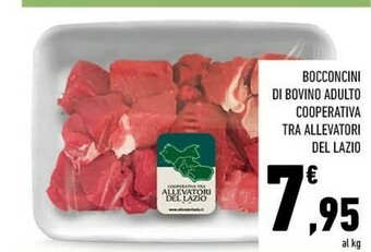 Conad Bocconcini Di Bovino Adulto offerta