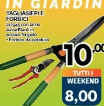 Orizzonte Forbici per potatura offerta