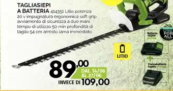 Orizzonte Tempo Tagliasiepi offerta