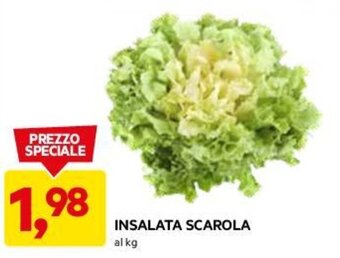 DPiù INSALATA SCAROLA offerta