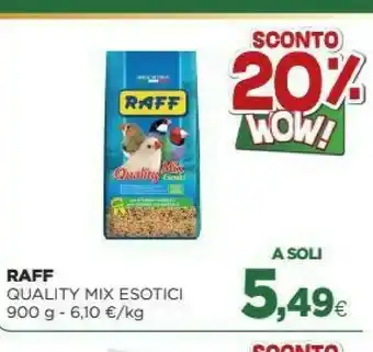 L´Isola dei Tesori Birra offerta
