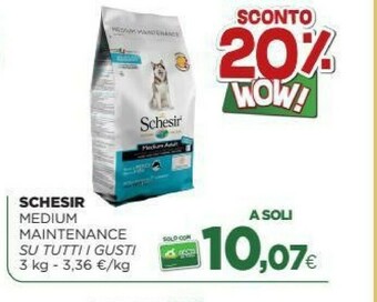 L´Isola dei Tesori Cibo per gatti offerta