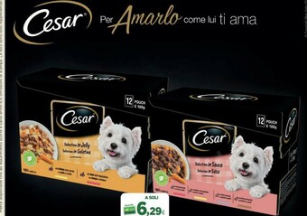 L´Isola dei Tesori Cesar Cibo per cani offerta