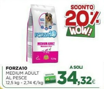 L´Isola dei Tesori Cibo per cani offerta