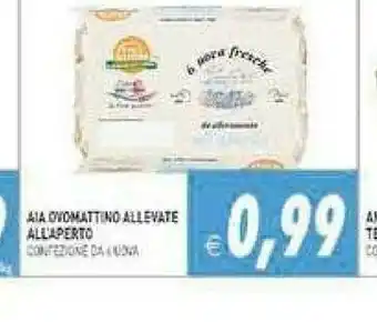 Supermercati Agorà Aia Uova offerta