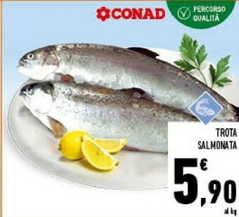 Conad Superstore Trota Salmonata offerta