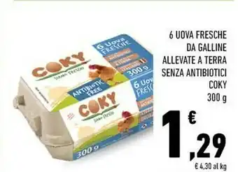 Conad Coky 6 Uova Fresche Da Galline Allevate A Terra 300 G(ml) offerta