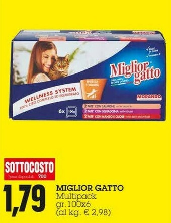 Emi Supermercati Miglior Gatto offerta