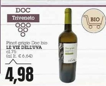 Emi Supermercati Le vie dell'uva Pinot Grigio Doc offerta