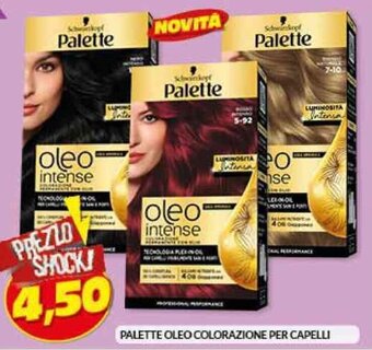 Risparmio Casa PALETTE OLEO COLORAZIONE PER CAPELLI offerta